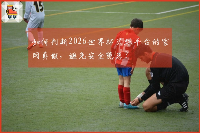 如何判断2026世界杯买球平台的官网真假，避免安全隐患？