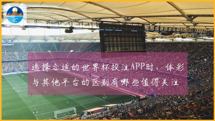 选择合适的世界杯投注APP时，体彩与其他平台的区别有哪些值得关注的？